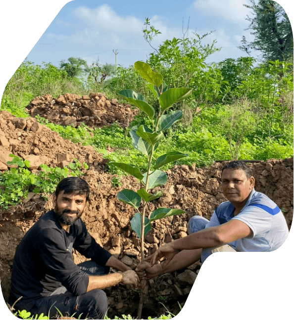 Narayani Care Foundation plantation activities in Alwar